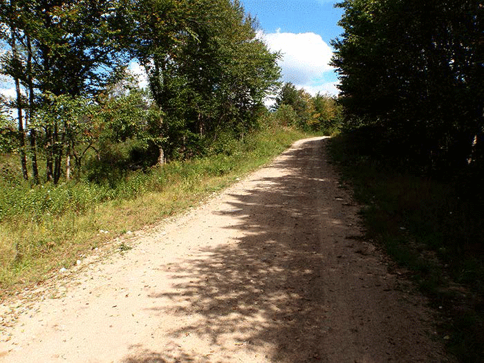 The Kushaqua tract has over 100 miles of major dirt roads used for forest management purposes. These roads have been used by motor vehicles for decades.