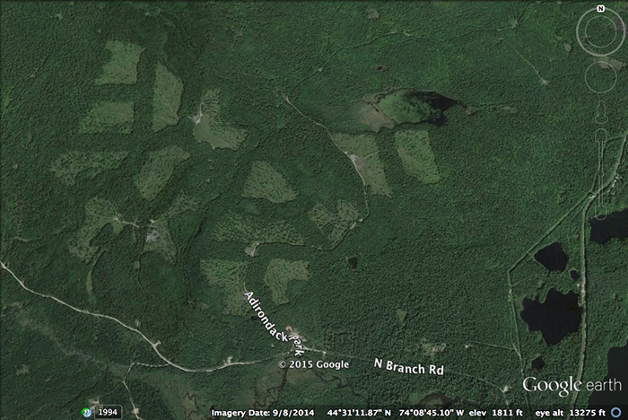 The Kushaqua tract has received some of the heaviest clearcutting of any conservation easement tract in the Adirondacks over the last two years by the Lyme Timber Company, which owns the forest management rights to the land. These clearcuts were all designed to avoid state jurisdiction and permit review.