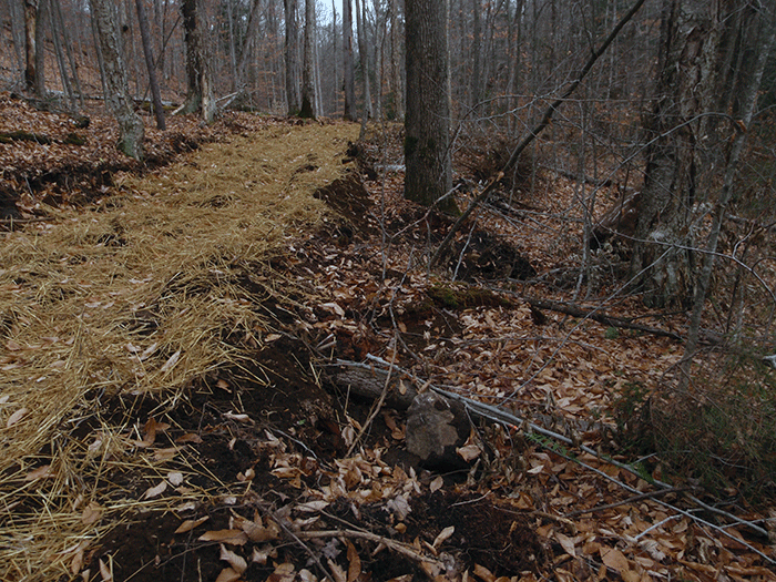 The new class II community connector snowmobile trail around Harris Lake where the trail is built up using all sorts of "debris" from construction including boulders, stumps, and sawed trees to build up the road bed of the trail. This type of activity does not occur on a foot trail.