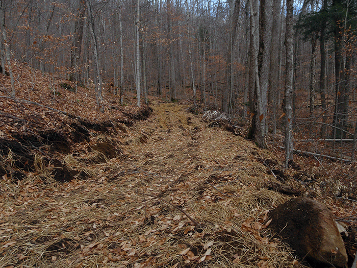 An area on the new class II community connector snowmobile trail to Harris Lake with extensive bench cuts, graded trail surface, and a roadbed built up.