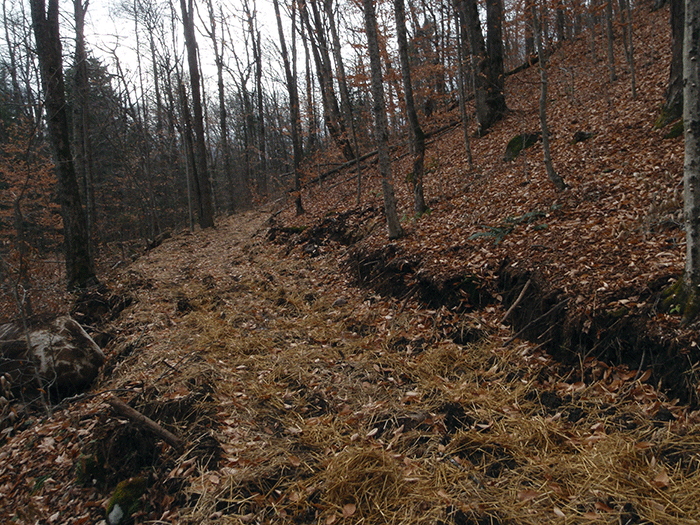 Still another area on the new class II community connector snowmobile trail to Harris Lake with extensive bench cuts, graded trail surface, and a roadbed built up.