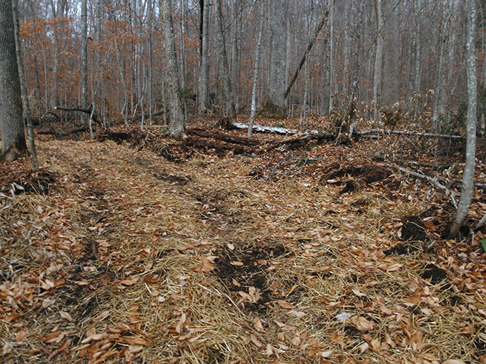 The new class II community connector snowmobile trail around Harris Lake where the trail is significantly wider than 9-12 feet.