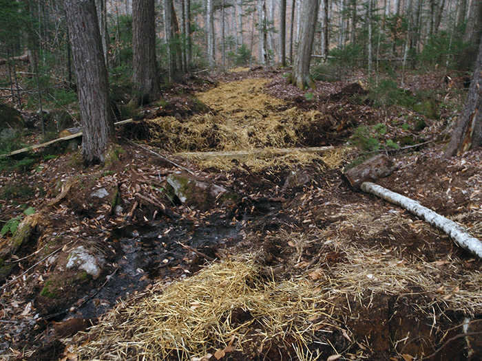 The new class II community connector snowmobile trail around Harris Lake where a bridge is being built over a stream.