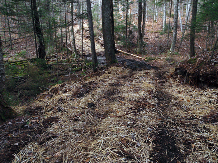 The new class II community connector snowmobile trail around Harris Lake where the trail is significantly wider than 9-12 feet.