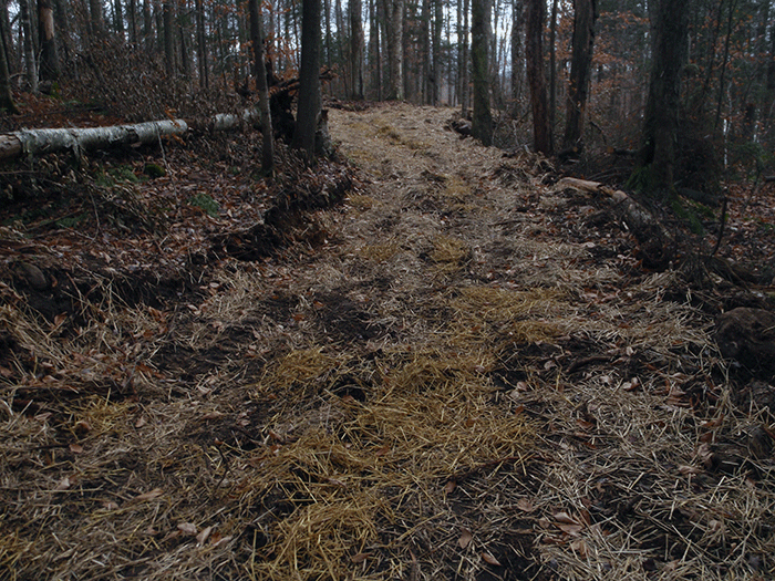 The new class II community connector snowmobile trail around Harris Lake where the trail is significantly wider than 9-12 feet.