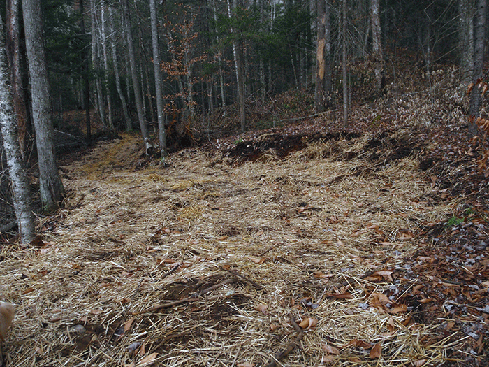 An area on the new class II community connector snowmobile trail to Harris Lake well over the allowable 9-12 foot trail width.