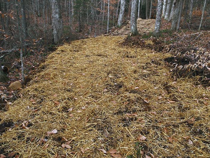 Another area on the new class II community connector snowmobile trail to Harris Lake well over the allowable 9-12 foot trail width.