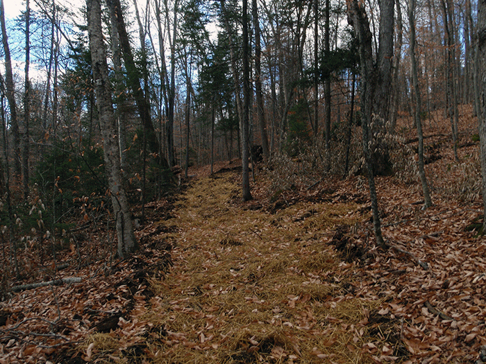 Another area on the new class II community connector snowmobile trail to Harris Lake well over the allowable 9-12 foot trail width.