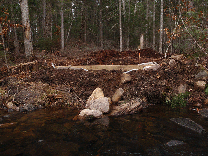 An area on the new class II community connector snowmobile trail to Harris Lake where a major 12-foot-wide bridge is being built. The stream corridor has been torn up and disturbed.