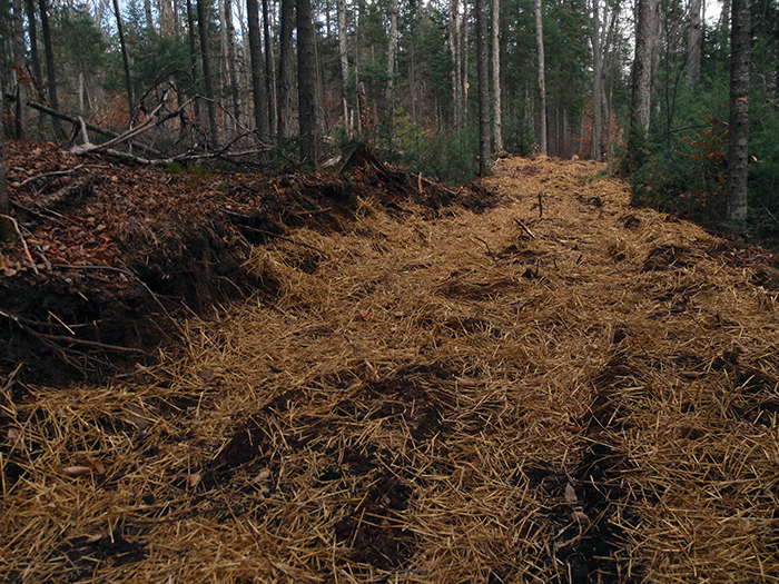 More extensive bench cuts on the new class II community connector snowmobile trail around Harris Lake.