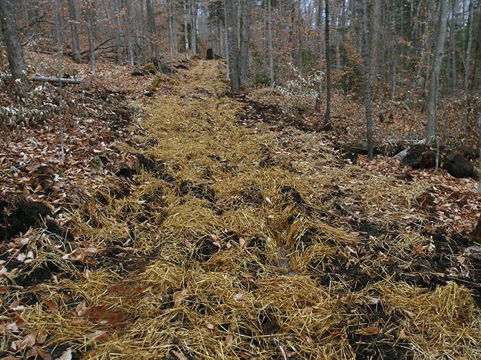 A section of the new class II community connector snowmobile trail around Harris Lake where the trail surface has been severely damaged through grading.