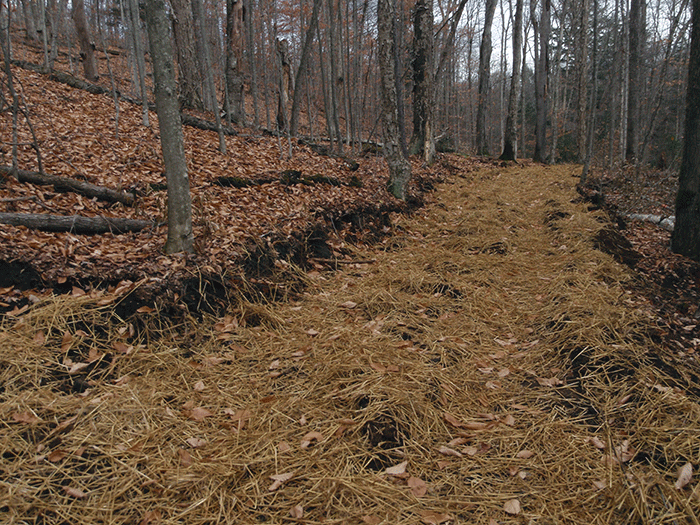 The new class II community connector snowmobile trail around Harris Lake includes many hundreds of yards of "bench cuts" dug into the hillsides to create a flat trail.