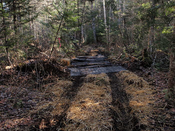 The pictures above show parts of the new Minerva snowmobile trail that have been heavily graded and flattened with heavy machinery. Official Forest Preserve policy states that grading should be "limited" but in most cases with these new class II community connector snowmobile trails, grading is undertaken over extensive lengths. Not only are these trails heavily graded but rocks and stumps are removed from the trail area and these materials as well as cut trees often line the trailsides. The tree cutting and extensive grading significantly change the trail area and the wild forest character and atmosphere in the surrounding forest.
