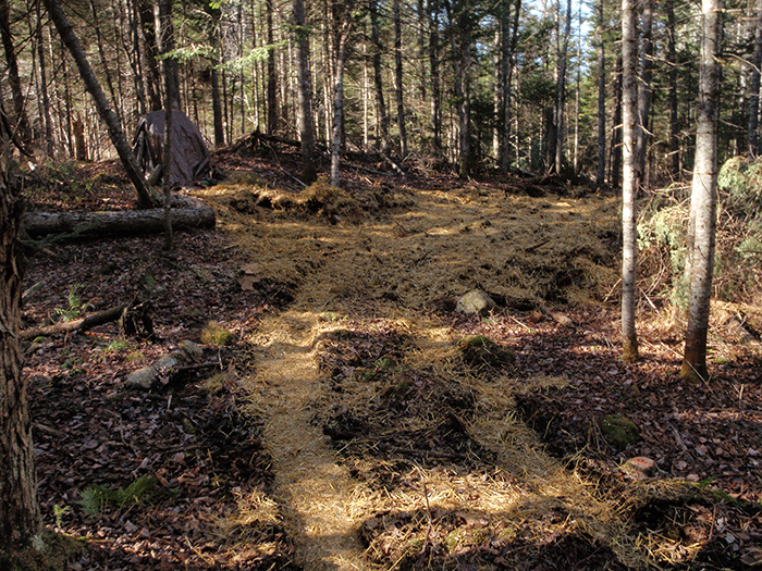 Minerva-Snowmobile-Trail-12