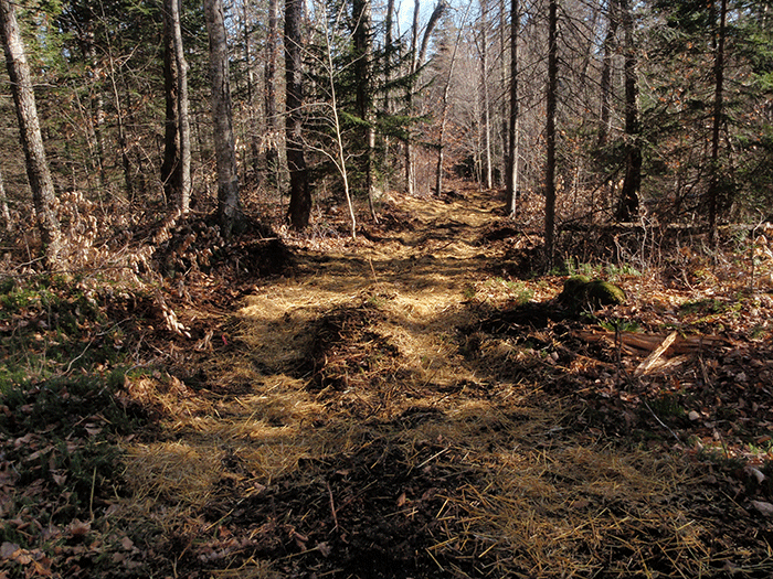 Minerva-Snowmobile-Trail-13