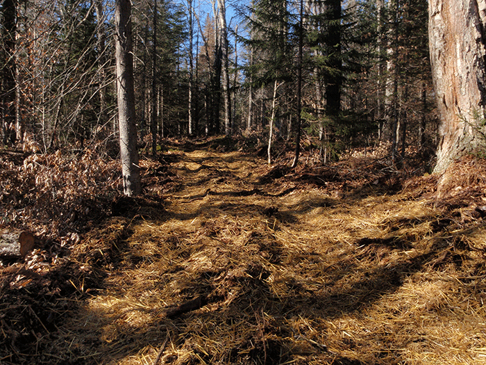 Minerva-Snowmobile-Trail-14