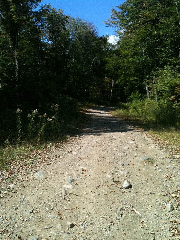 This is a typical former logging road on the Essex Chain Lakes tract. The new UMP will allow biking on these roads and management and maintenance by state officials using motor vehicles.