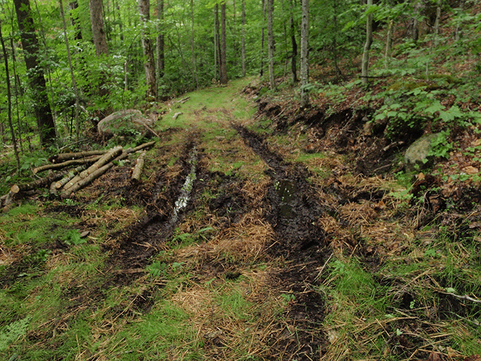 Recently cut and graded section of the Newcomb to Minerva class II community connector snowmobile trail in the Vanderwhacker Mountain Wild Forest area of the Forest Preserve. No other trail in the state's trail system in the Adirondacks are built like these trails.
