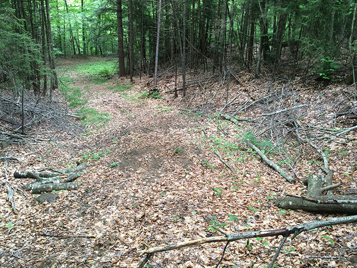 The Adirondack Park Agency and Department of Environmental Conservation cut these sections of the Seventh Lake Mountain class II community connector snowmobile trail in 2012. These sections are all well over the 9-12 feet trail widths allowed, have debris piles on the trailsides, mark a substantial change to the wild character of the Forest Preserve, and in no manner were built in the character of a foot trail. Note the reflector on the bridge, something not used on foot trail bridges. 