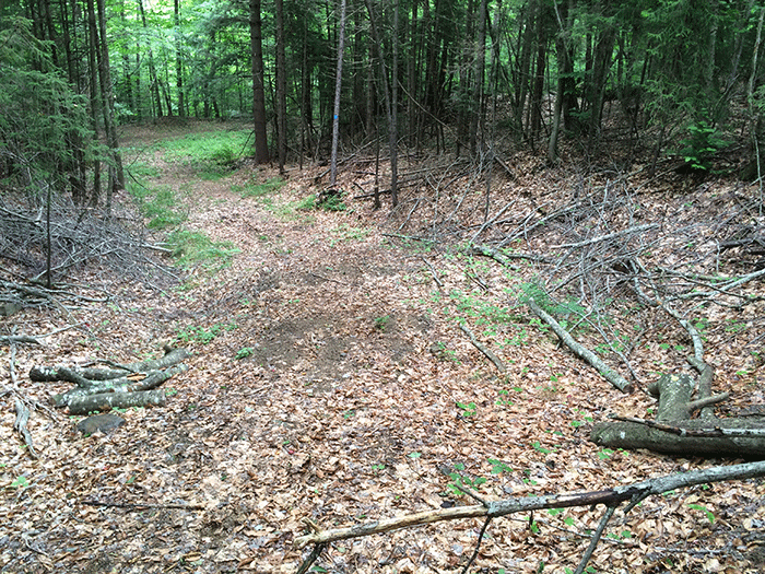 The Adirondack Park Agency and Department of Environmental Conservation cut these sections of the Seventh Lake Mountain class II community connector snowmobile trail in 2012. These sections are all well over the 9-12 feet trail widths allowed, have debris piles on the trailsides, mark a substantial change to the wild character of the Forest Preserve, and in no manner were built in the character of a foot trail. Note the reflector on the bridge, something not used on foot trail bridges.