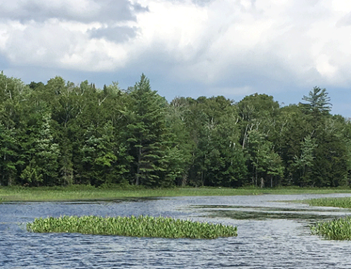 Adirondack Park Agency Board needs credible environmental voices