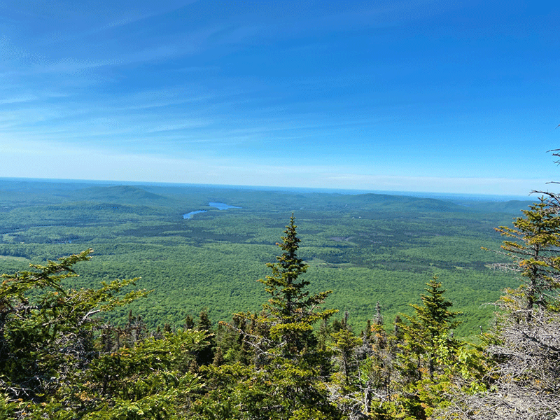 Hike Debar Mountain in the northern Adirondacks in Franklin County