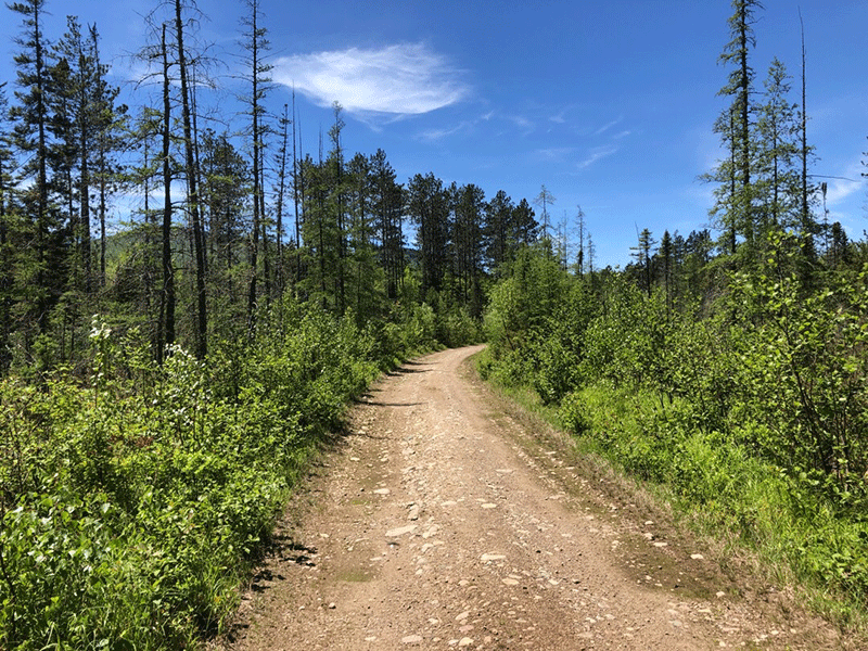 Loon Lake Mountain is a rugged peak with a firetower that provides a ...