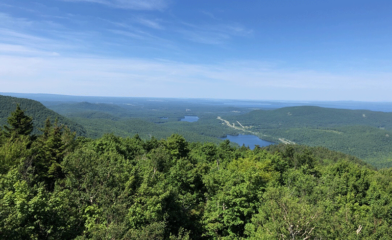 Hike Poke-O-Moonshine Mountain - Protect the Adirondacks!