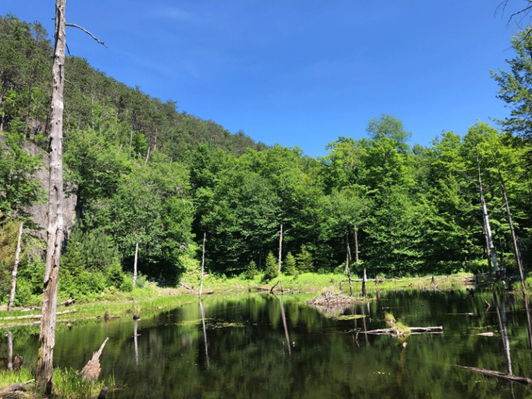Escape to Adirondack Magic: Your Guide to Poke-O-Moonshine Campground