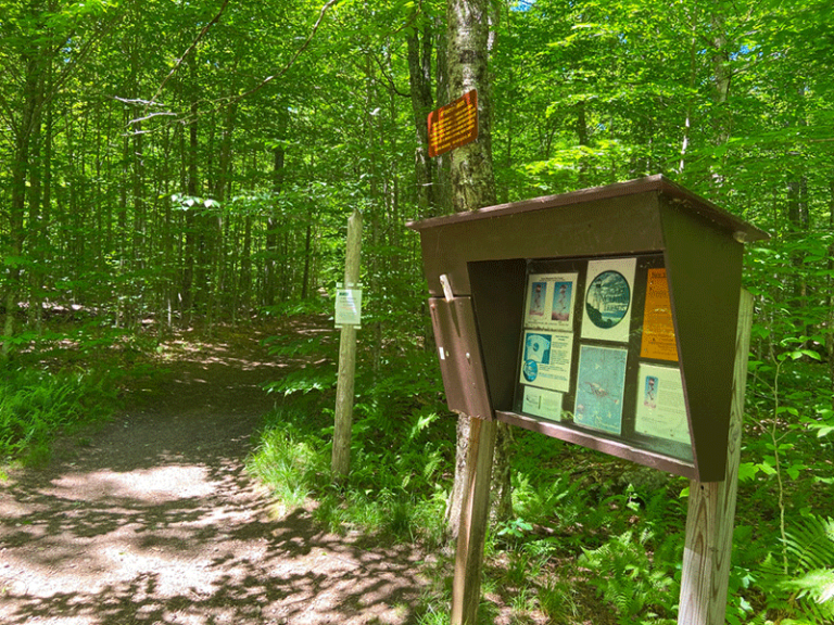 Hike Azure Mountain Protect the Adirondacks!