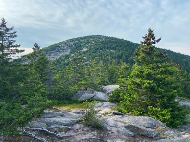 Hike Catamount Mountain Protect the Adirondacks!