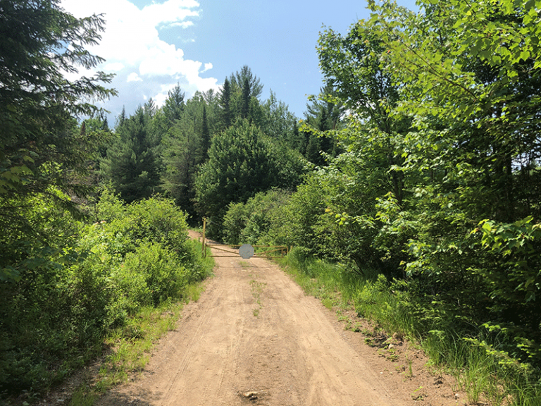 Hike Floodwood Mountain Protect the Adirondacks!