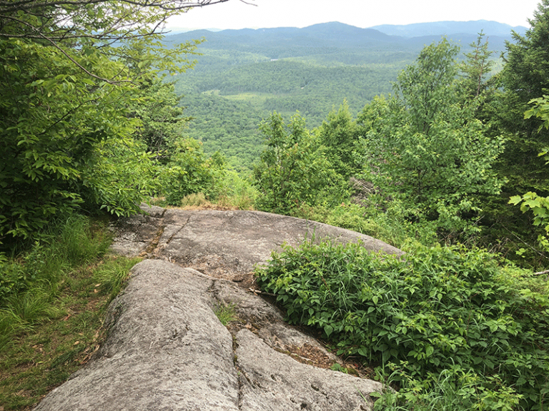 Hike Floodwood Mountain Protect the Adirondacks!
