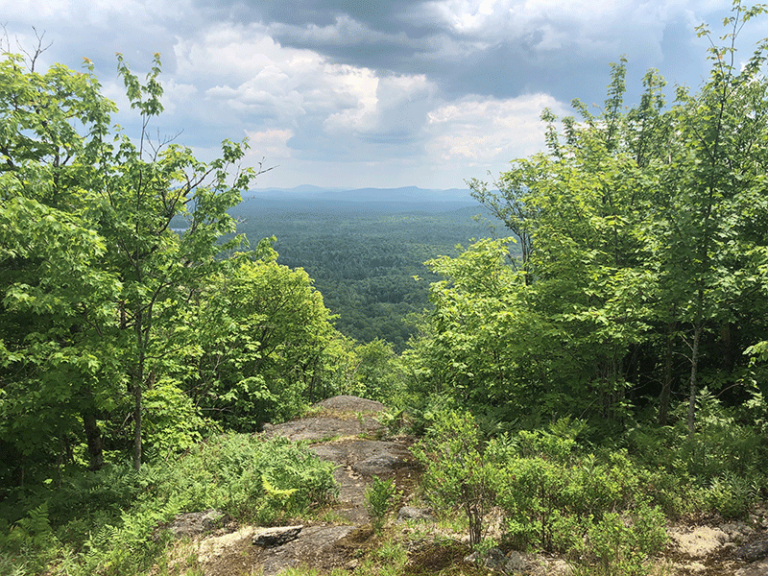 Hike Floodwood Mountain Protect the Adirondacks!