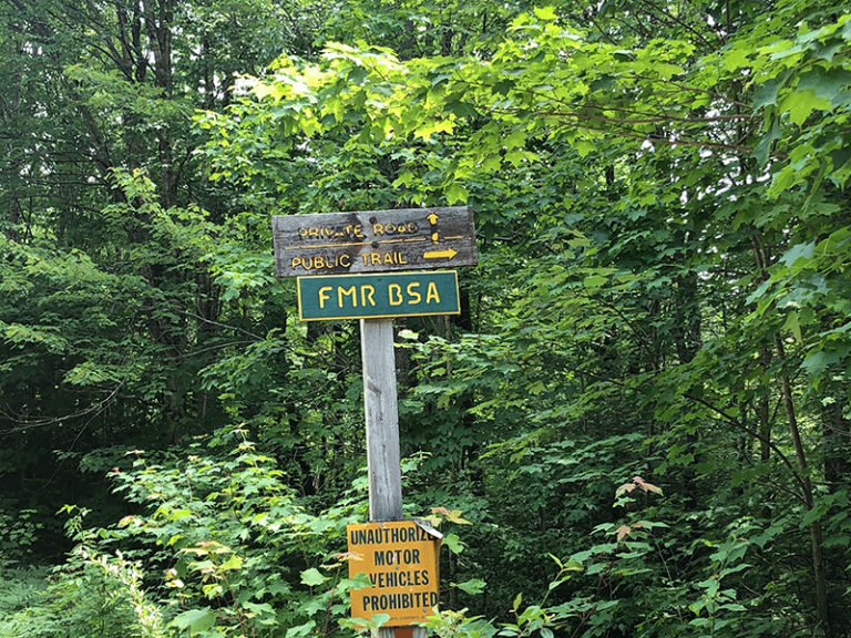 Hike Floodwood Mountain Protect the Adirondacks!