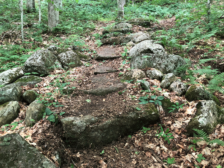 Hike Floodwood Mountain Protect the Adirondacks!
