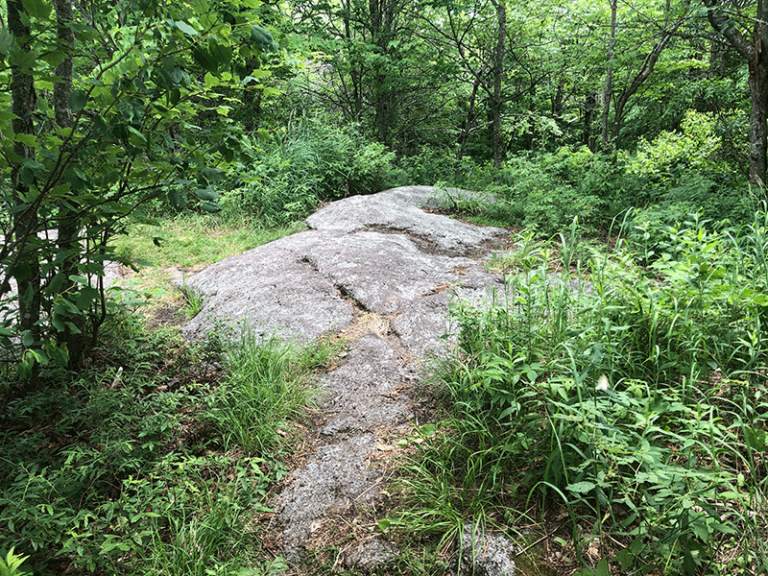 Hike Floodwood Mountain Protect the Adirondacks!