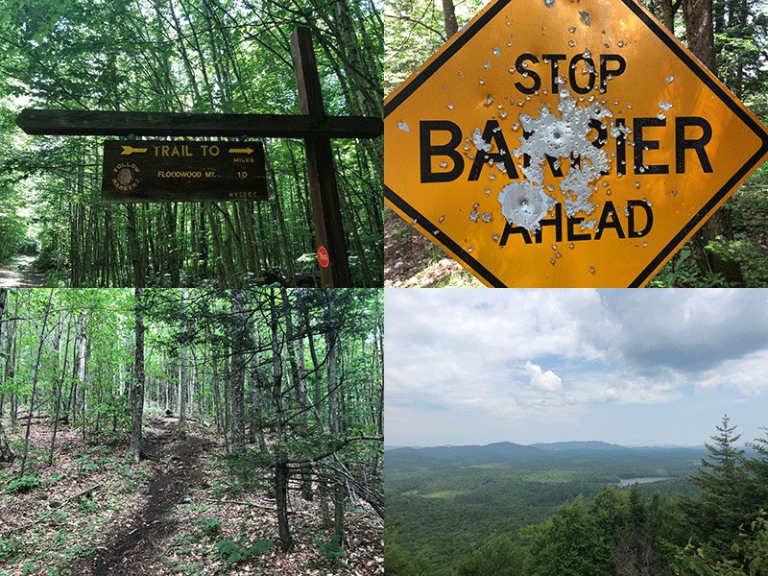 Hike Floodwood Mountain Protect the Adirondacks!