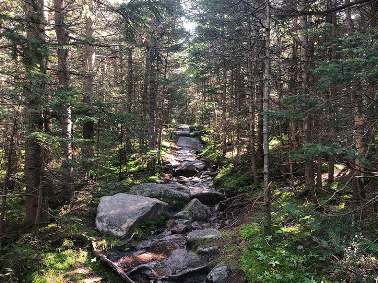 Hike Lyon Mountain Protect the Adirondacks!