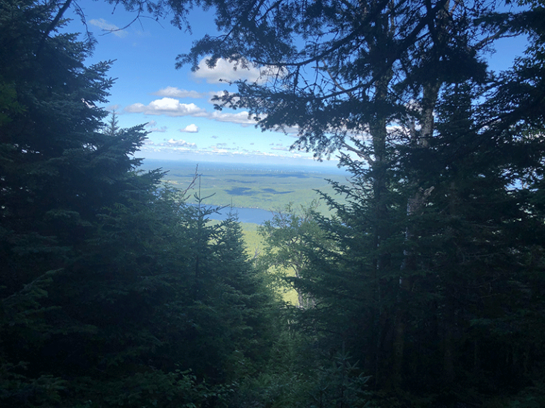 Hike Lyon Mountain Protect the Adirondacks!