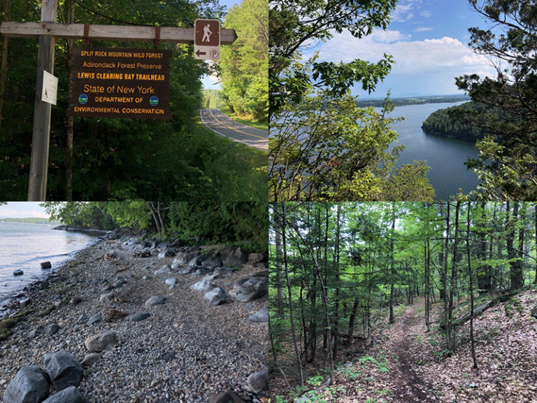 Hike Split Rock Mountain (South Trails) Protect the Adirondacks!