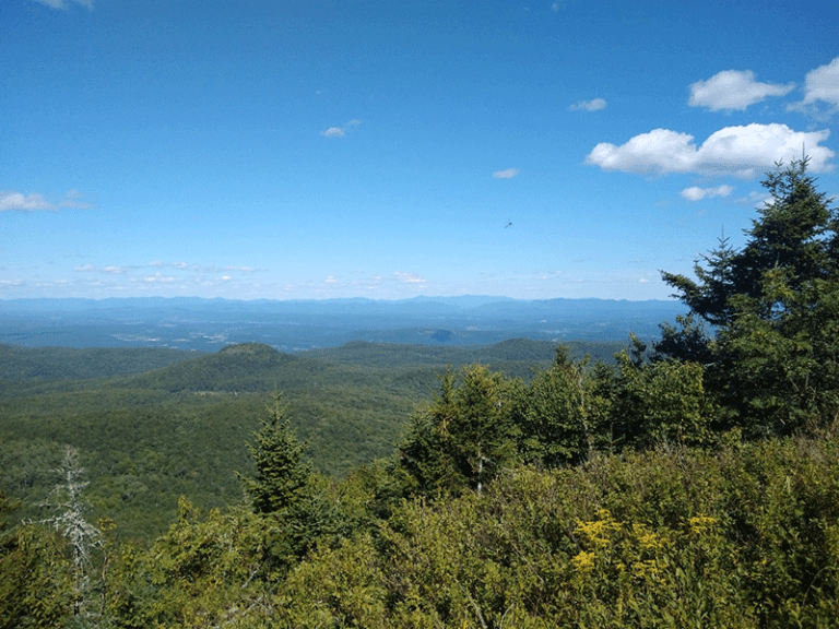 Hike Black Mountain Protect the Adirondacks!