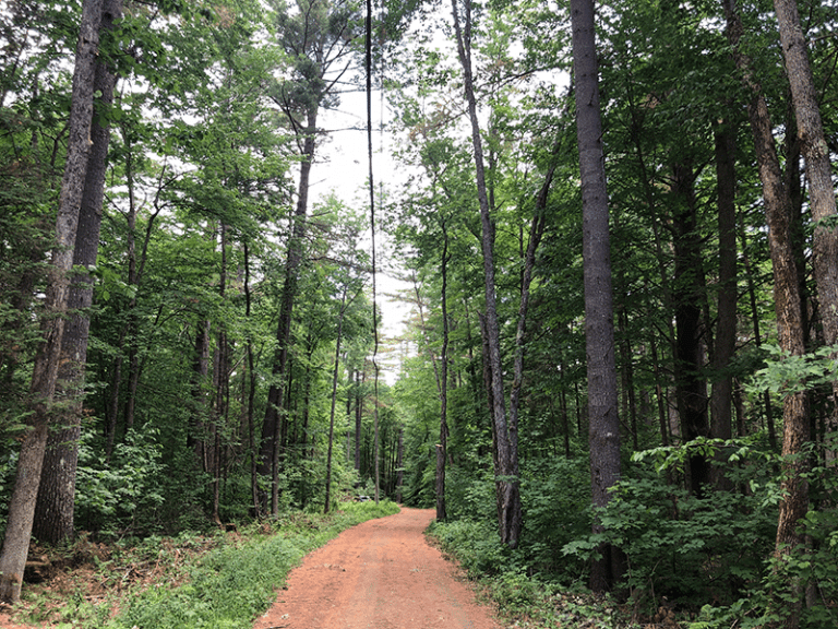 Fawn Lake Protect the Adirondacks!