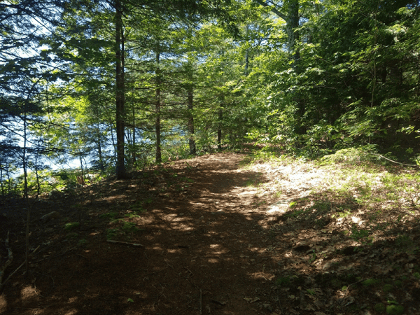 Jake Pond and Little Jabe Pond - Protect the Adirondacks!
