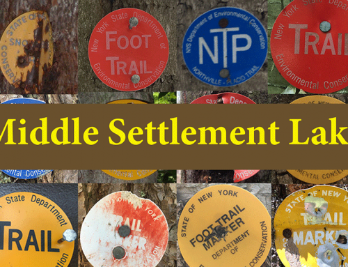 Middle Settlement Lake