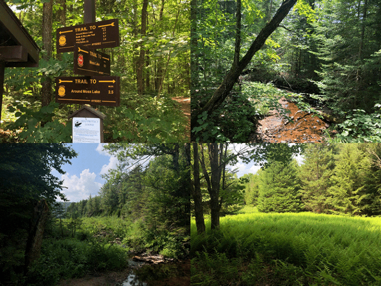 Moss Lake Protect the Adirondacks!