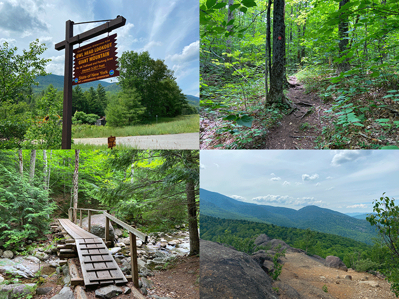Owls clearance head mountain