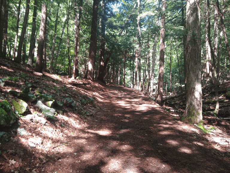 Hike Shelving Rock Protect the Adirondacks!