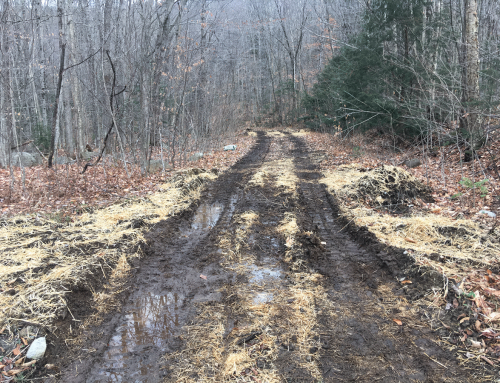 PROTECT challenges DEC’s road rebuilding in a Wilderness Area