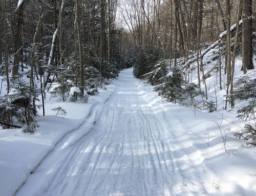 DEC and APA keep unconstitutional trails open in defiance of court decisions